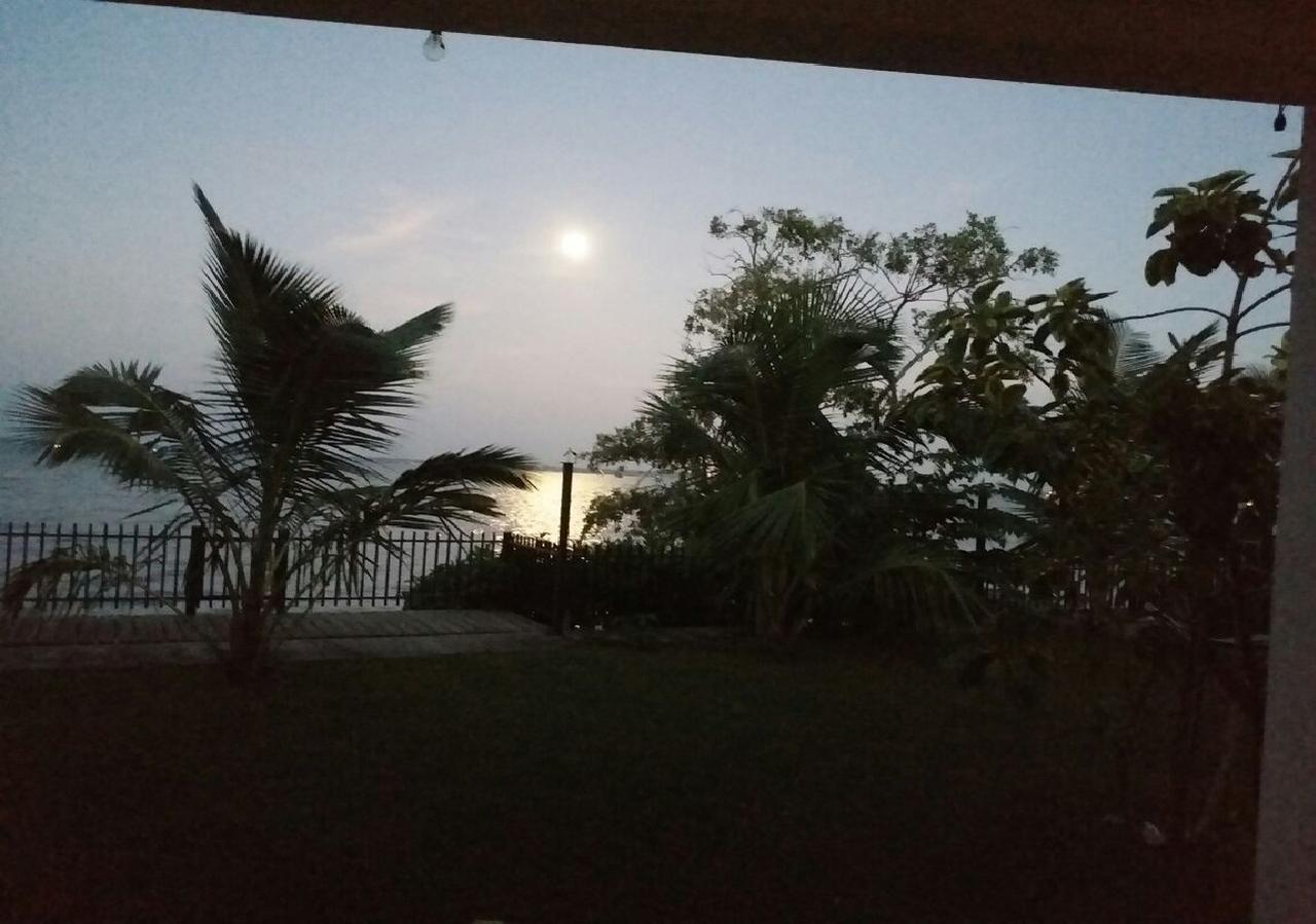 Negombo Holiday Home Екстер'єр фото