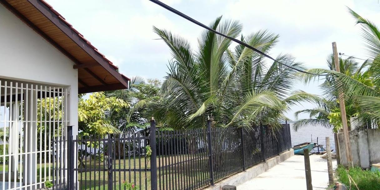 Negombo Holiday Home Екстер'єр фото